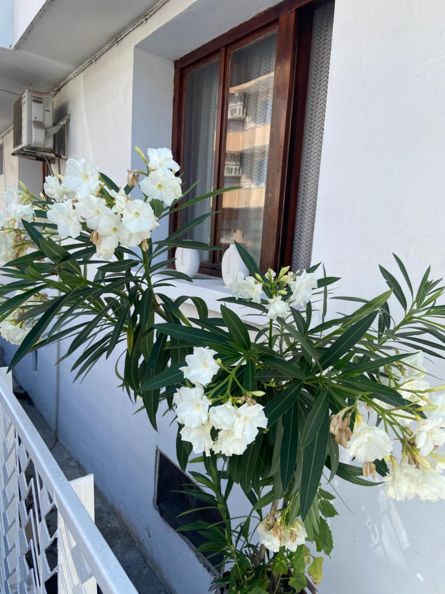 Guest House Hei Taka Sozopol Exterior foto
